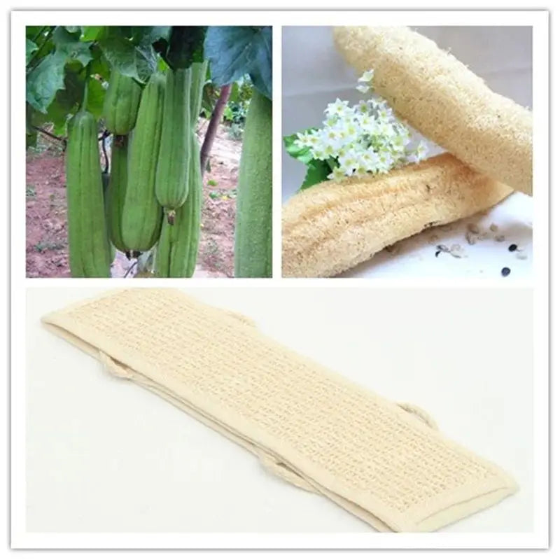 Natural Soft Loofah Sponge